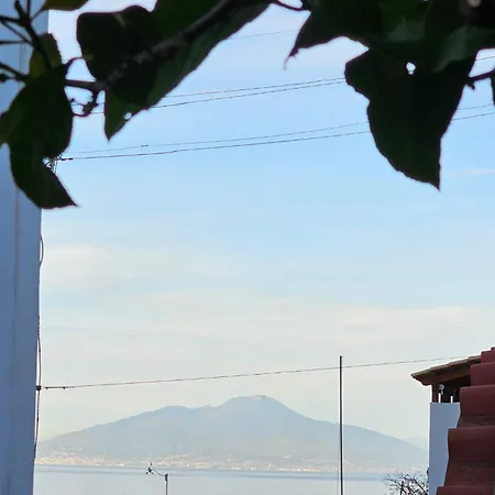 La Giulia *