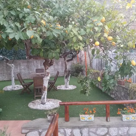 La Giulia